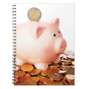 Euro Notebook