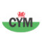 Euro Oval Wales Car Sticker