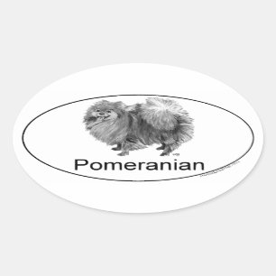 Euro Pomeranian Oval Sticker