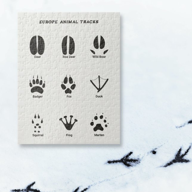 Europe Animal Tracks Puzzle (Europe Animal Tracks Puzzle)