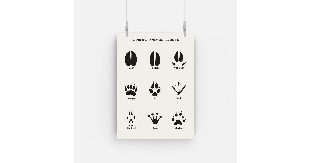 Animal Tracks Poster