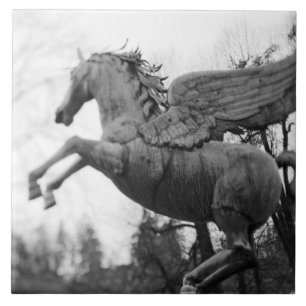 Europe, Austria, Salzburg. Winged horse statue, 2 Ceramic Tile
