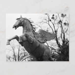 Europe, Austria, Salzburg. Winged horse statue, Postcard