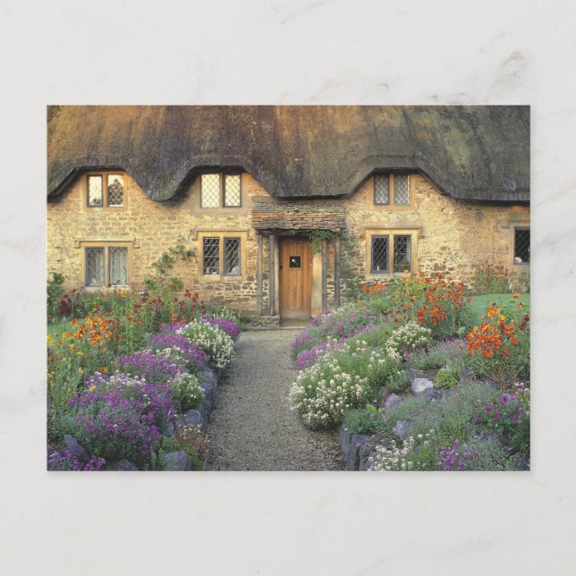 Europe, England, Chippenham. Early morning light Postcard (Front)