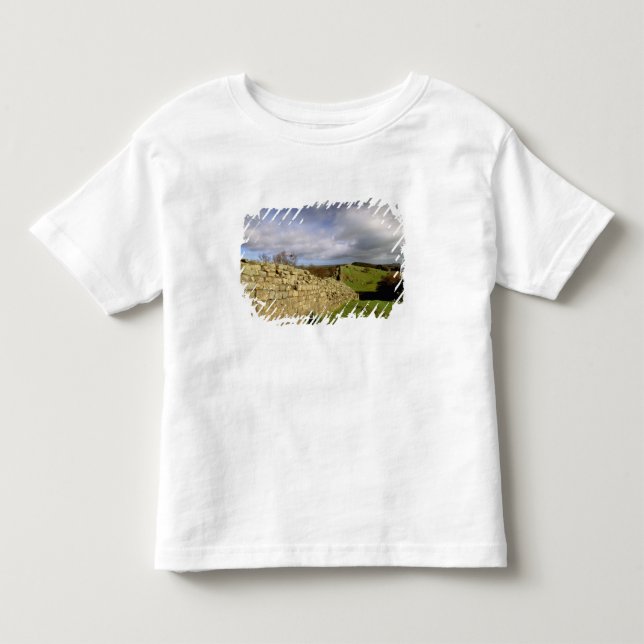 Europe, England, Northumberland. Hadrian's Toddler T-shirt (Front)