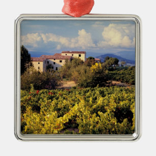 Europe, France, Bonnieux. Vineyards cover the Metal Ornament
