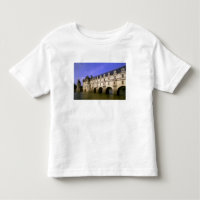 Europe, France, Loire Valley. Chateau