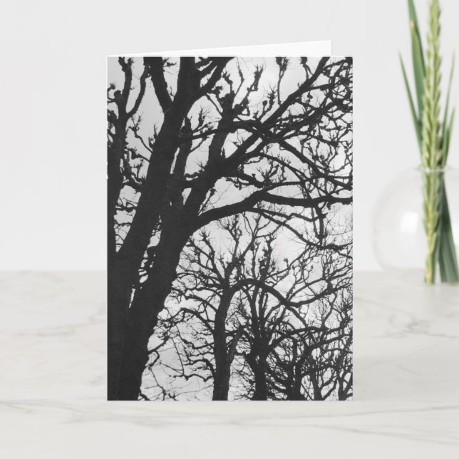 Europe, France, Paris. Winter trees, Marco Card (Front)