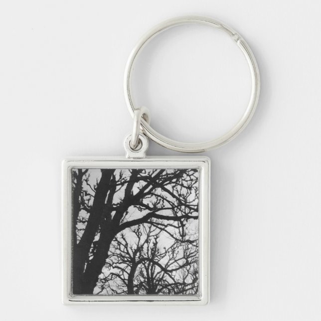 Europe, France, Paris. Winter trees, Marco Keychain (Front)