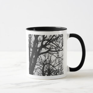 Europe, France, Paris. Winter trees, Marco Mug