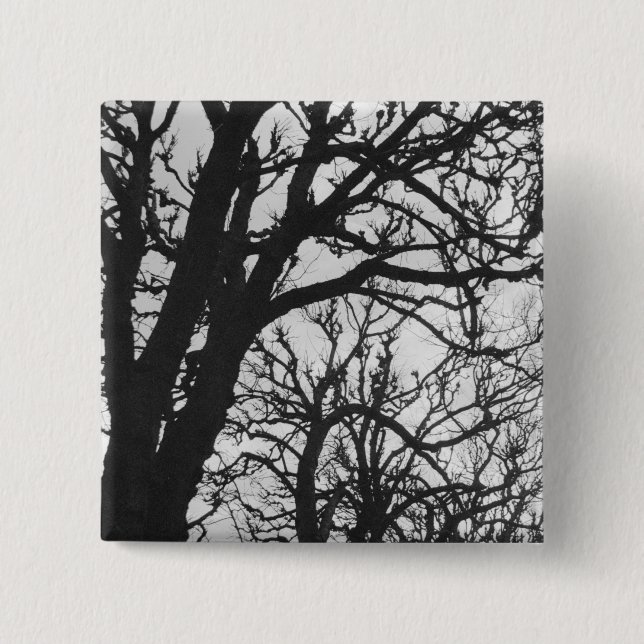 Europe, France, Paris. Winter trees, Marco Pinback Button (Front)