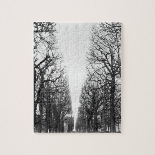 Europe France Paris Winter trees Marco Polo Jigsaw Puzzle