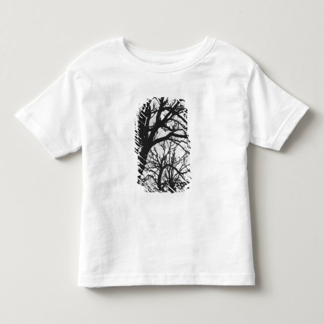 Europe, France, Paris. Winter trees, Marco Toddler T-shirt (Front)