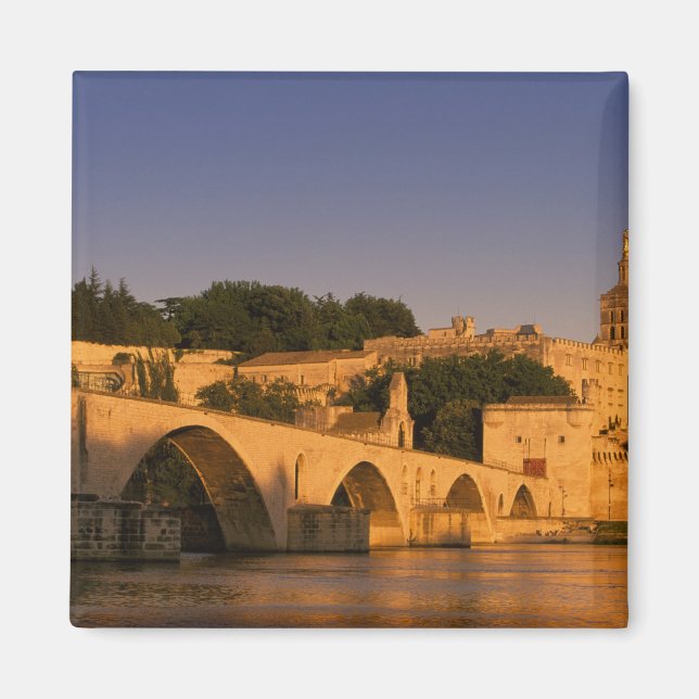 Europe, France, Provence, Avignon. Palais des 2 Magnet (Front)