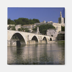 Europe, France, Provence, Avignon. Palais des Magnet