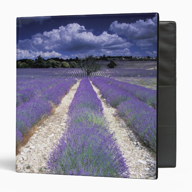 Europe, France, Provence. Lavander fields Binder (Front/Inside)