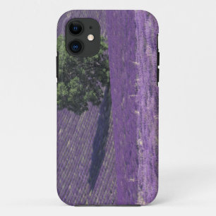Europe, France, Provence, Sault, Lavender fields iPhone 11 Case