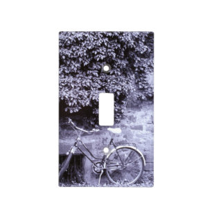Europe, Germany, Baden, Wurttemberg, Heidelberg. 2 Light Switch Cover