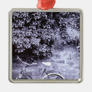 Europe, Germany, Baden, Wurttemberg, Heidelberg. 2 Metal Ornament