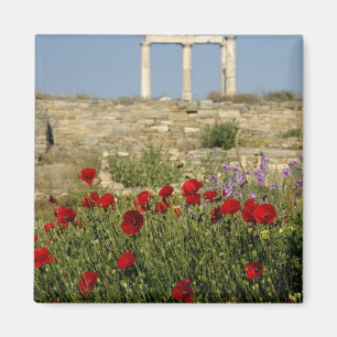Europe, Greece, Cyclades, Delos. Column ruins. 2 Magnet