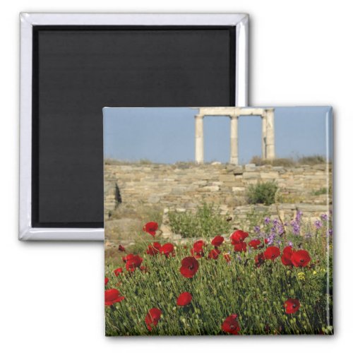 Europe Greece Cyclades Delos Column ruins 2 Magnet