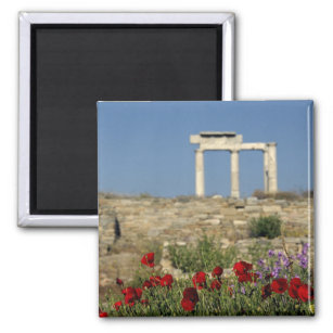 Europe, Greece, Cyclades, Delos. Column ruins. Magnet
