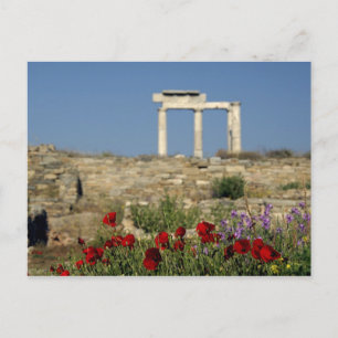 Europe, Greece, Cyclades, Delos. Column ruins. Postcard