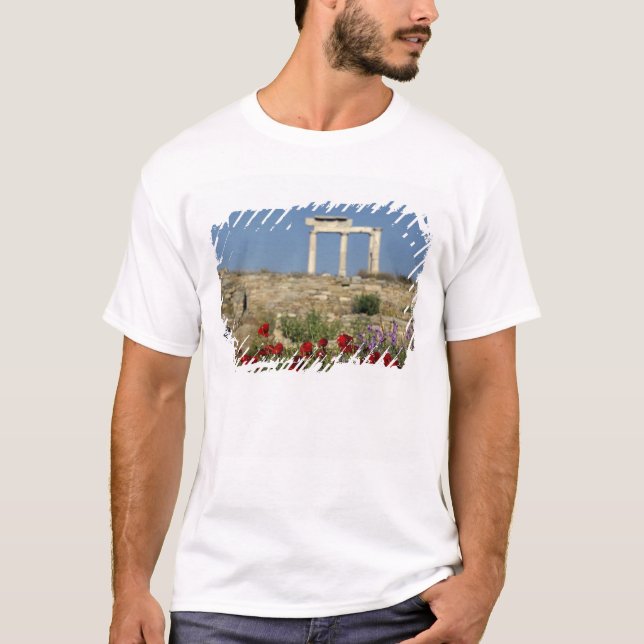 Europe, Greece, Cyclades, Delos. Column ruins. T-Shirt (Front)