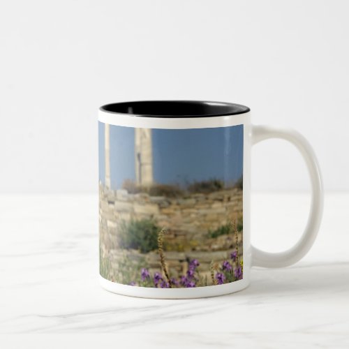 Europe Greece Cyclades Delos Column ruins Two_Tone Coffee Mug