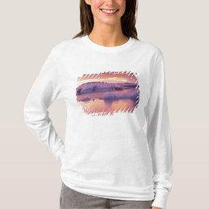 Europe, Iceland, Jokulsarlon lagoon T-Shirt