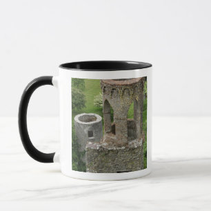 Europe, Ireland, Blarney Castle. THIS IMAGE Mug