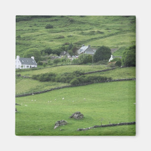 Europe, Ireland, Kerry County, Ring of Kerry. Magnet