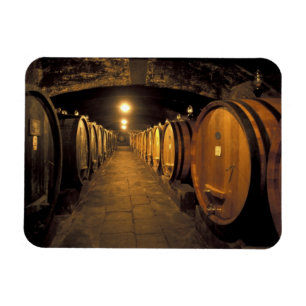 Europe, Italy, Toscana region. Chianti cellars Magnet