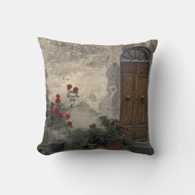 Europe, Italy, Tuscany, Chianti, Tuscan doorway Throw Pillow (Front)