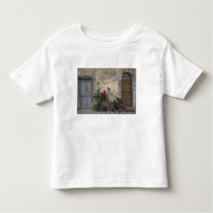 Europe, Italy, Tuscany, Chianti, Tuscan doorway; Toddler T-shirt