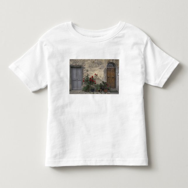 Europe, Italy, Tuscany, Chianti, Tuscan doorway; Toddler T-shirt (Front)