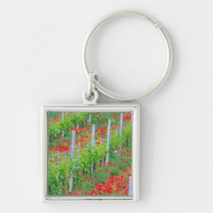 Europe, Italy, Tuscany. Colorful red poppies in Keychain