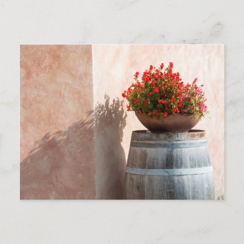 Europe Italy Tuscany Flower pot Postcard