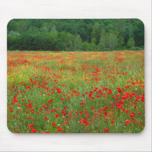 Europe, Italy, Tuscany, red poppies in field. Mouse Pad