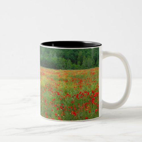 Europe Italy Tuscany red poppies in field Two_Tone Coffee Mug