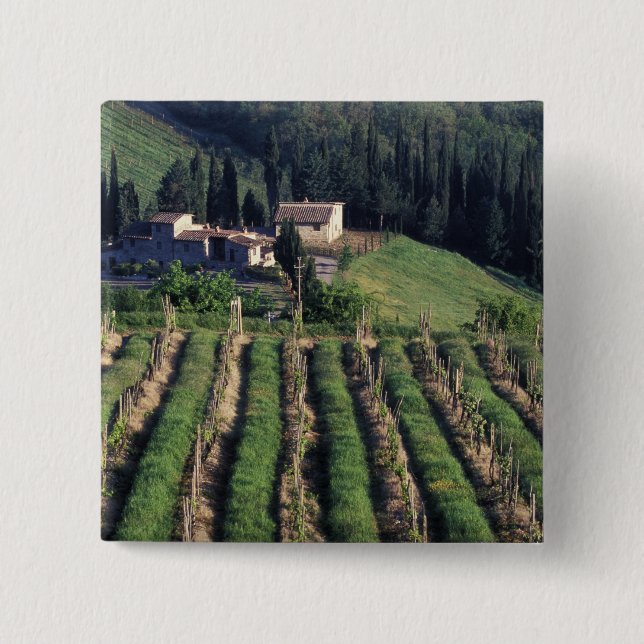 Europe, Italy, Tuscany. Scenic villa cyprus. Button (Front)