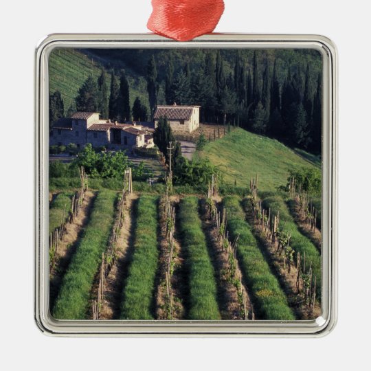 Europe, Italy, Tuscany. Scenic villa cyprus. Metal Ornament