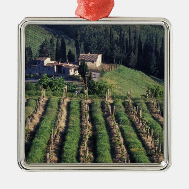 Europe, Italy, Tuscany. Scenic villa cyprus. Metal Ornament (Front)