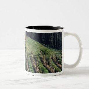 Europe, Italy, Tuscany. Scenic villa cyprus. Two-Tone Coffee Mug