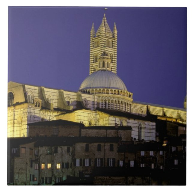 Europe, Italy, Tuscany, Siena. 13th century Ceramic Tile (Front)