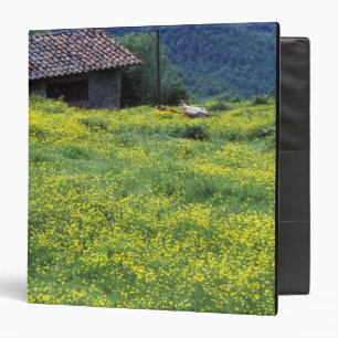 Europe, Italy, Tuscany, Siena, Chianti. 3 Ring Binder