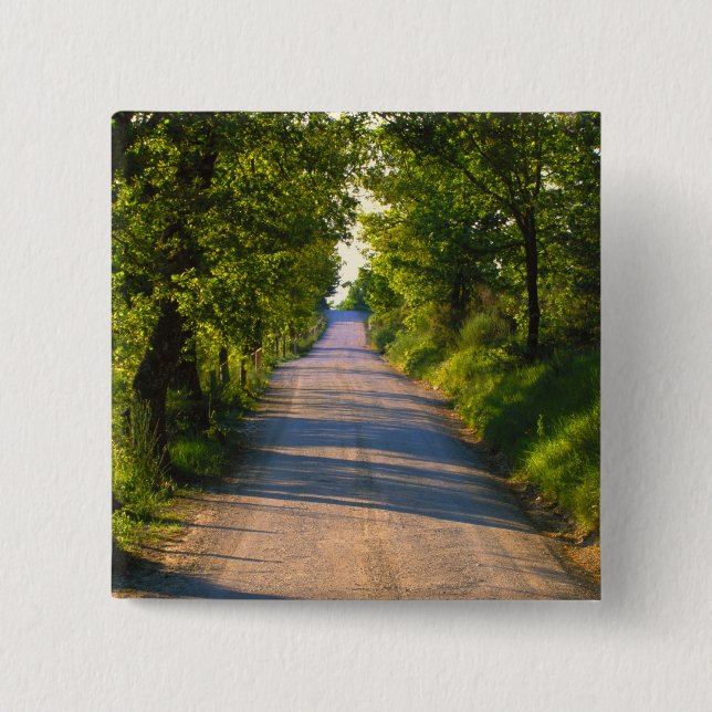Europe, Italy, Tuscany, tree lined road Pinback Button (Front)