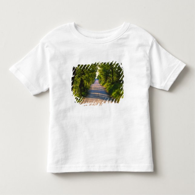 Europe, Italy, Tuscany, tree lined road Toddler T-shirt (Front)