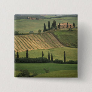 Europe, Italy, Tuscany, Val d' Orcia, Tuscan Button
