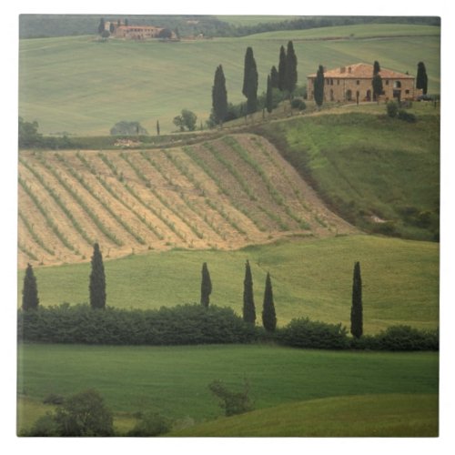 Europe Italy Tuscany Val d Orcia Tuscan Ceramic Tile